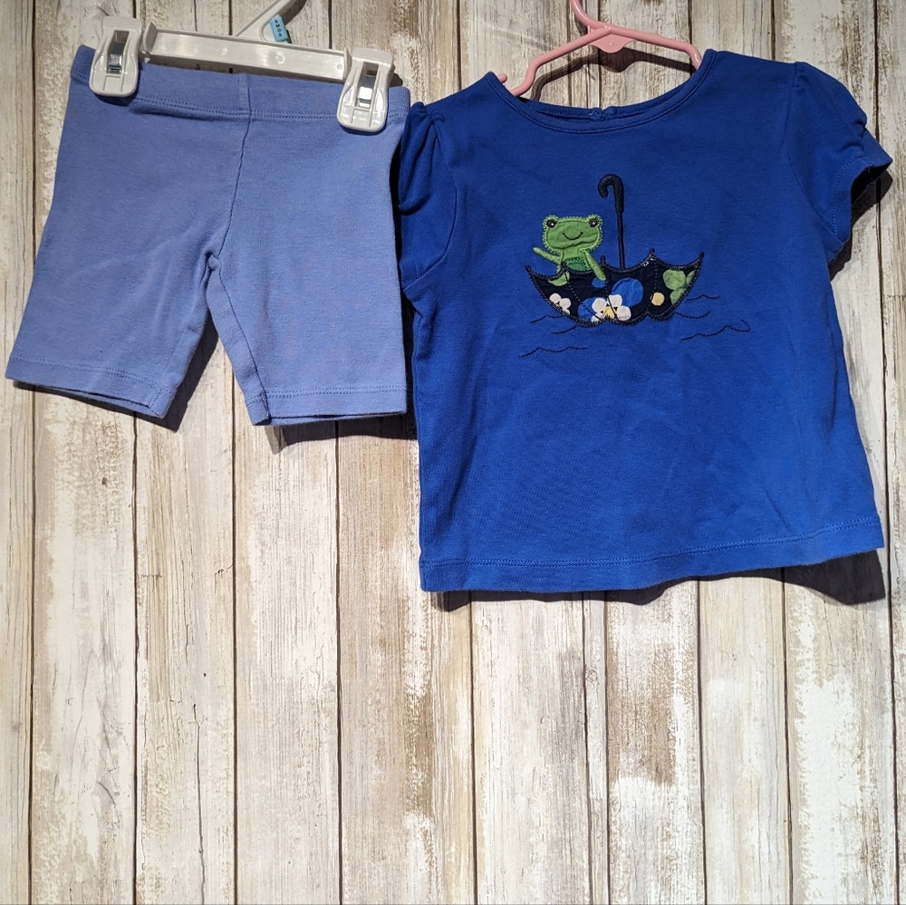 Gymboree toddlers girls size 3T cute 2 piece outfit
